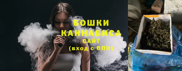 прущие грибы Магас