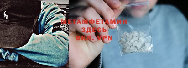 прущие грибы Магас
