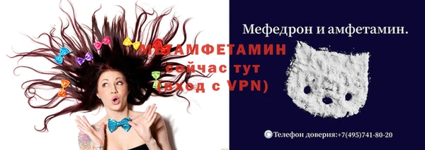 прущие грибы Магас