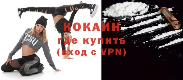 прущие грибы Магас