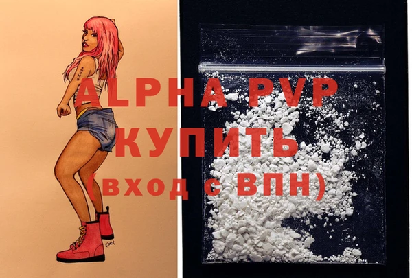 спиды Майский