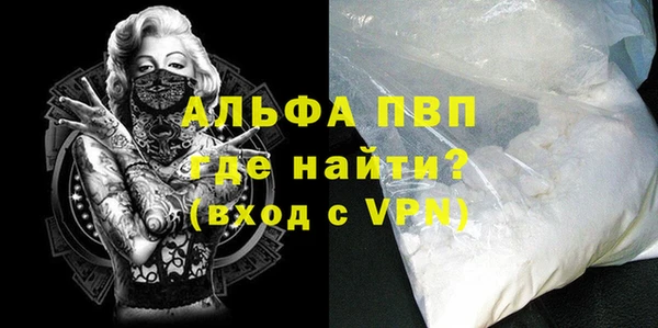 прущие грибы Магас