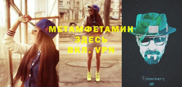 прущие грибы Магас