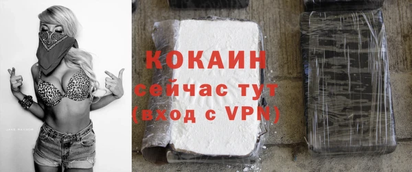 прущие грибы Магас