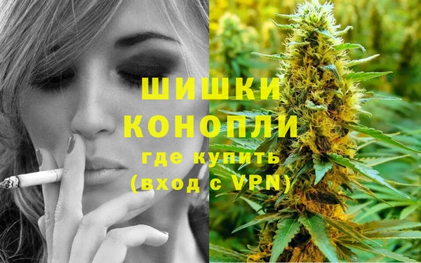 прущие грибы Магас