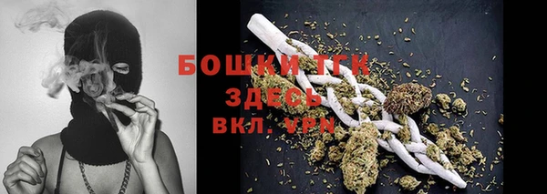 прущие грибы Магас