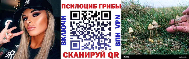 Псилоцибиновые грибы GOLDEN TEACHER  Хадыженск 